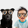 ssinvestmentnft avatar